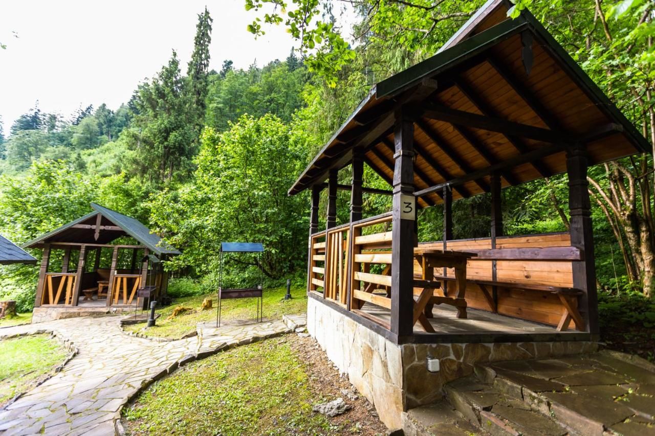 Комплексы для отдыха с коттеджами/бунгало Tsarynka Eco Complex Славское